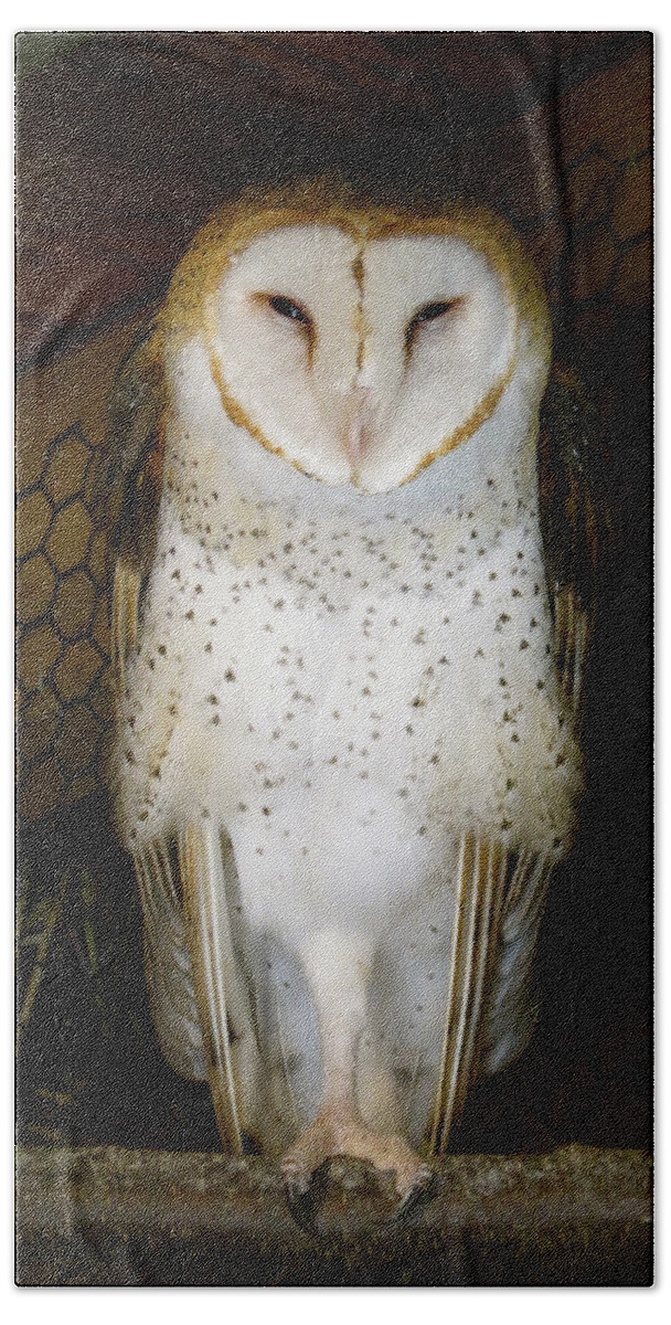 Owl Beach Towel featuring the photograph On one leg by Azthet Photography