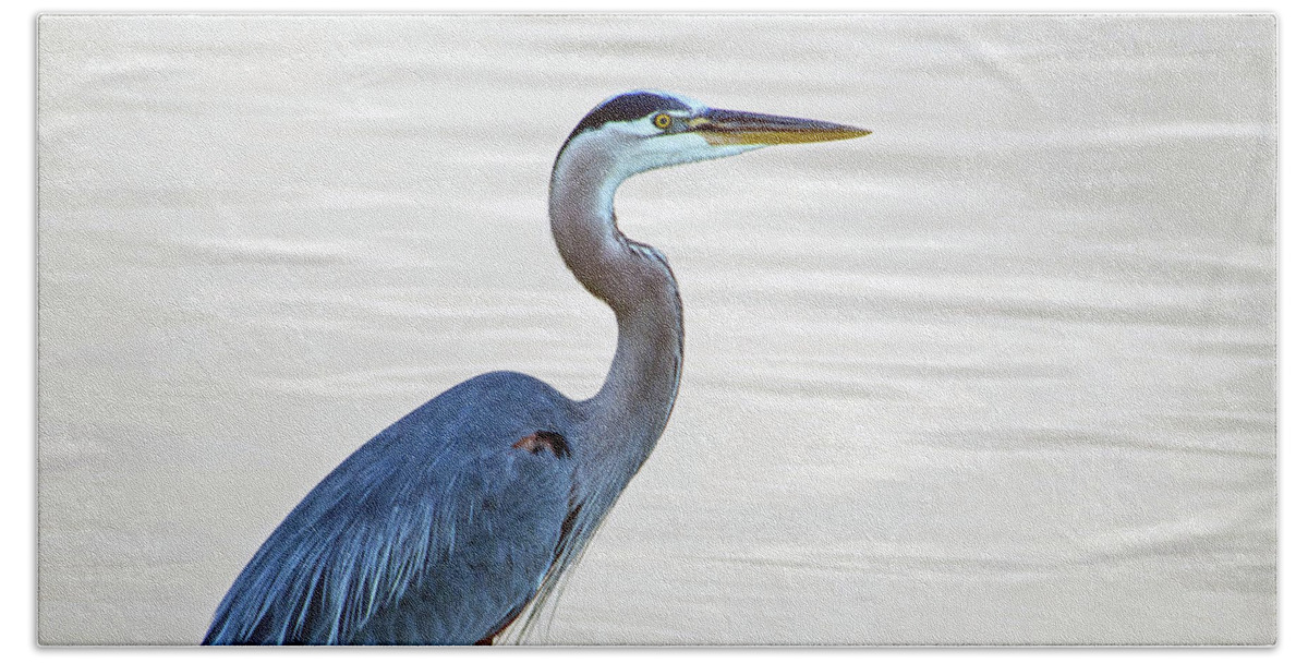 Blue Heron Beach Towel featuring the photograph On the Lookout by Rebecca Higgins
