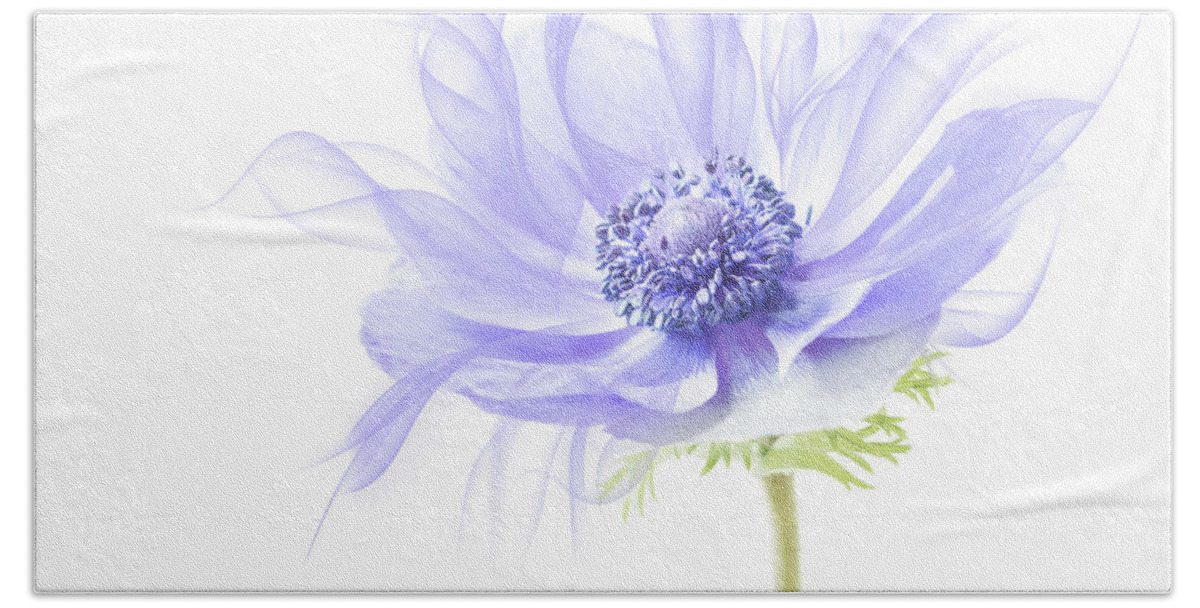 Anemone Beach Towel featuring the photograph One up on mother nature. by Usha Peddamatham