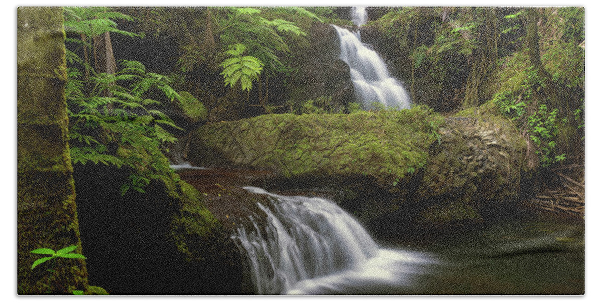 Big Island Beach Towel featuring the photograph Onomea Falls by Christopher Johnson