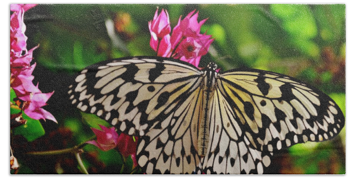 Butterfly Beach Towel featuring the photograph Open Wings by Eileen Brymer