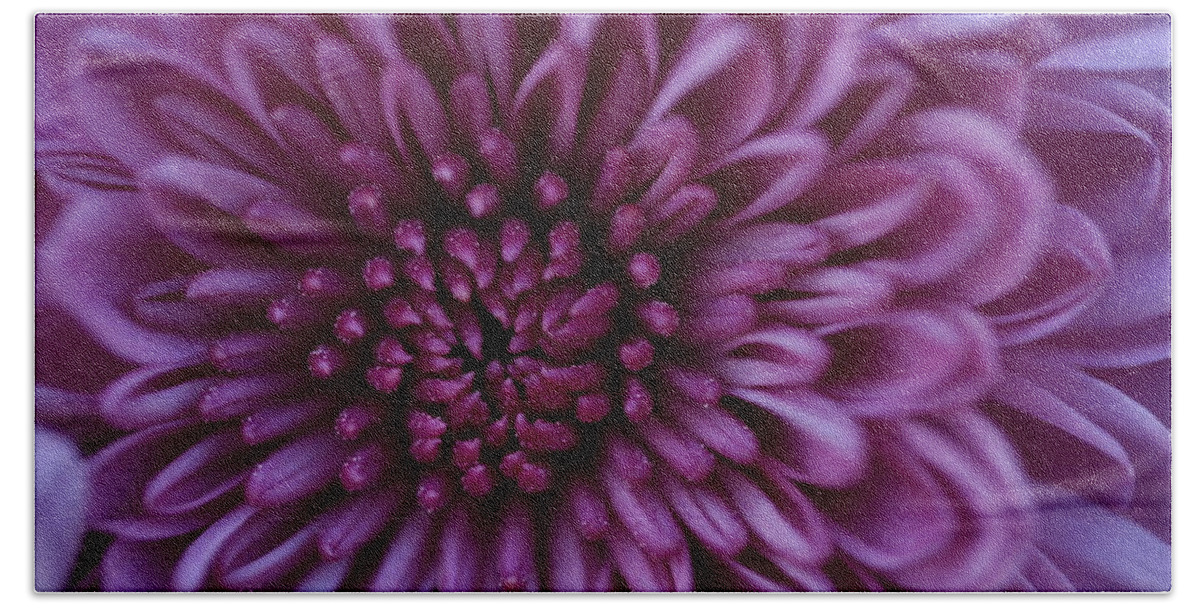 Flower Beach Sheet featuring the photograph Purple Mum by Glenn Gordon