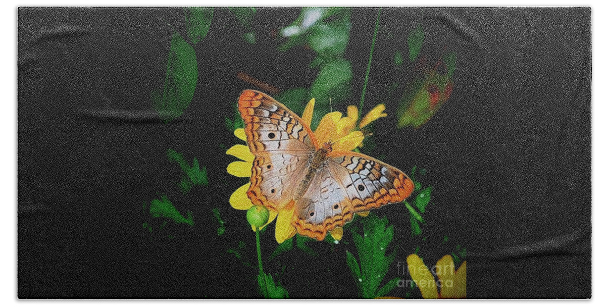 Butterfly Beach Towel featuring the photograph Butterfly by Buddy Morrison