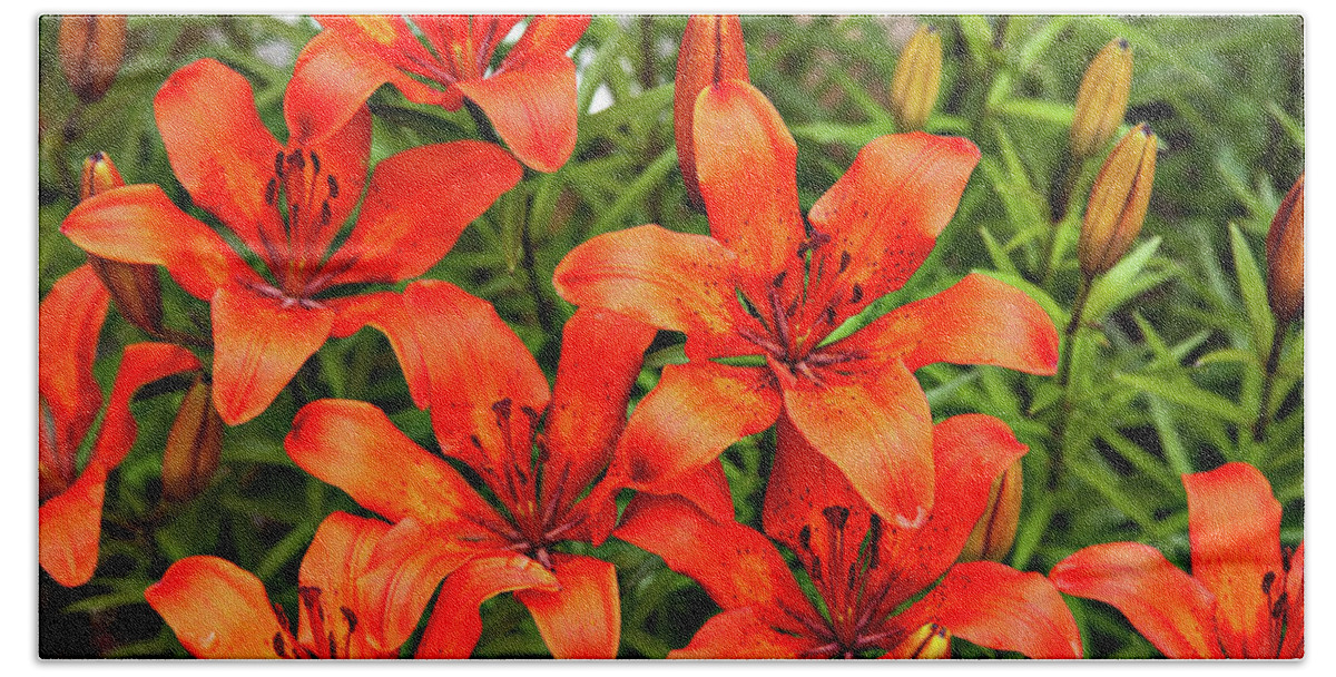Plants Beach Sheet featuring the photograph Orange Day Lillies by Mary Jo Allen