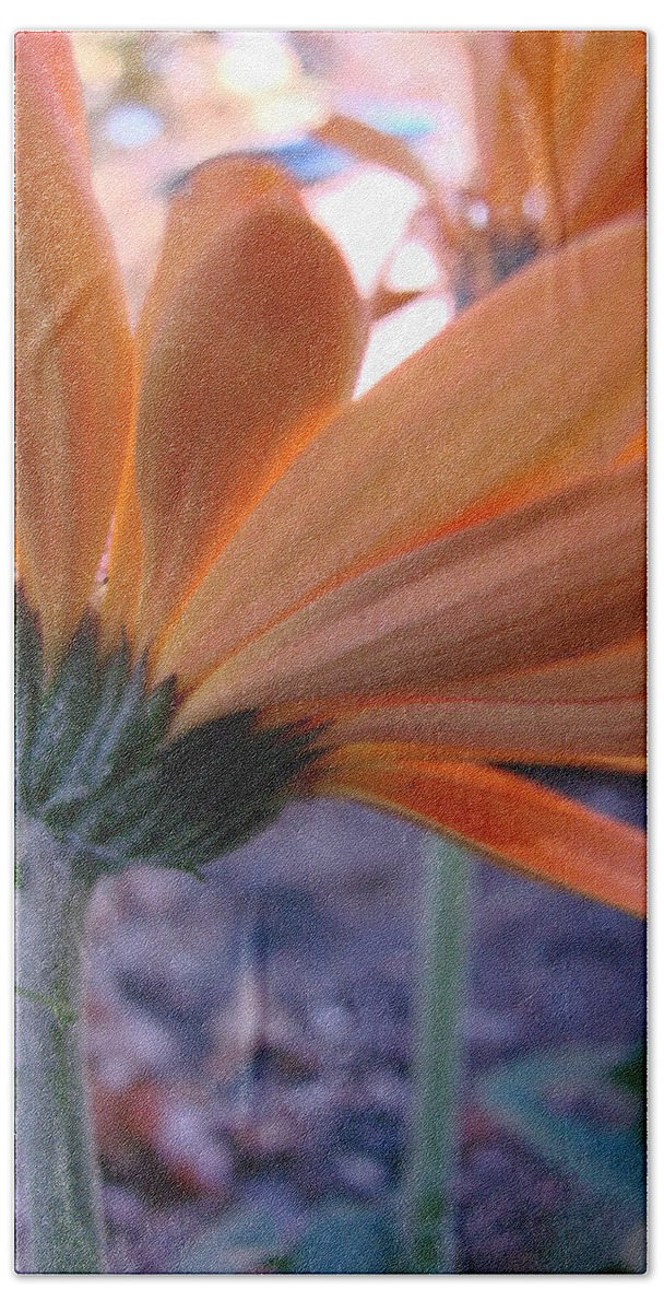 Orange Beach Sheet featuring the photograph Orange Lady Gerbera by Mary Halpin