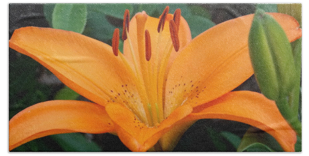 Bridge Of Flowers Beach Sheet featuring the photograph Orange Lily by Catherine Gagne