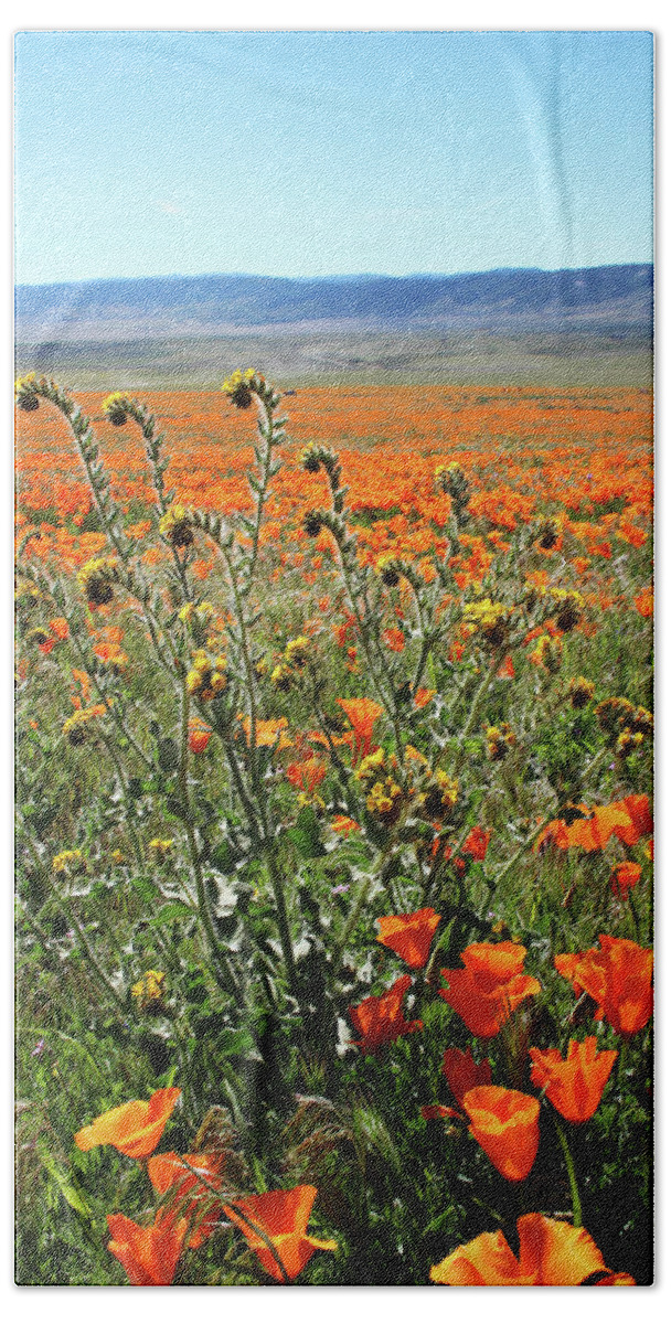 Poppies Beach Sheet featuring the mixed media Orange Poppies and Fiddleneck- Art by Linda Woods by Linda Woods