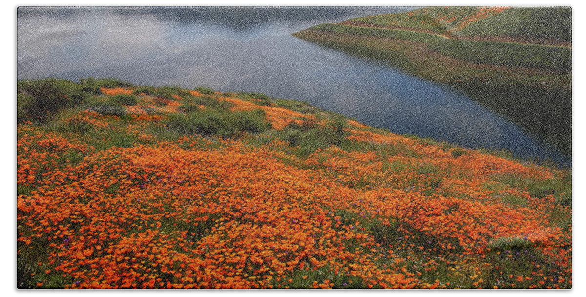 Wildflower Beach Sheet featuring the photograph Orange poppy fields at Diamond Lake in California by Jetson Nguyen