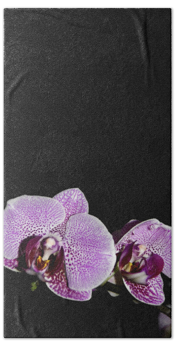 Orchid Beach Towel featuring the photograph Orchid Blooms by Amber Flowers