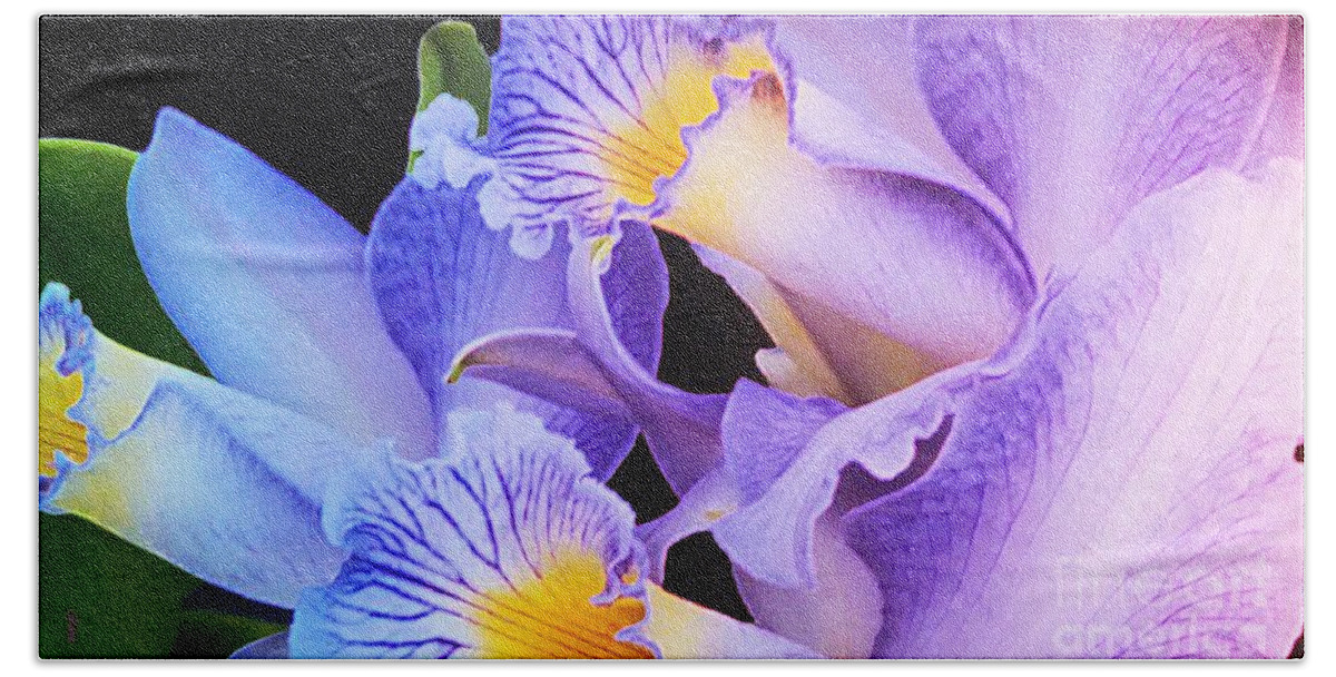 Flowers Beach Towel featuring the photograph Orchid Bouquet by Cindy Manero