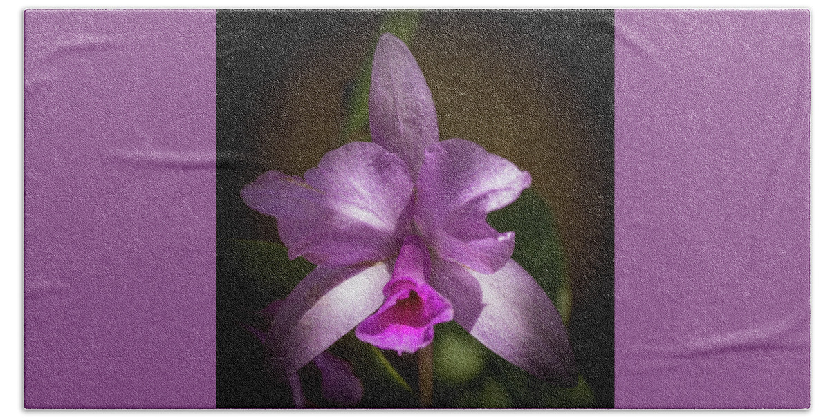 Selby Macro Beach Towel featuring the photograph Orchid in the Shadows by Richard Goldman
