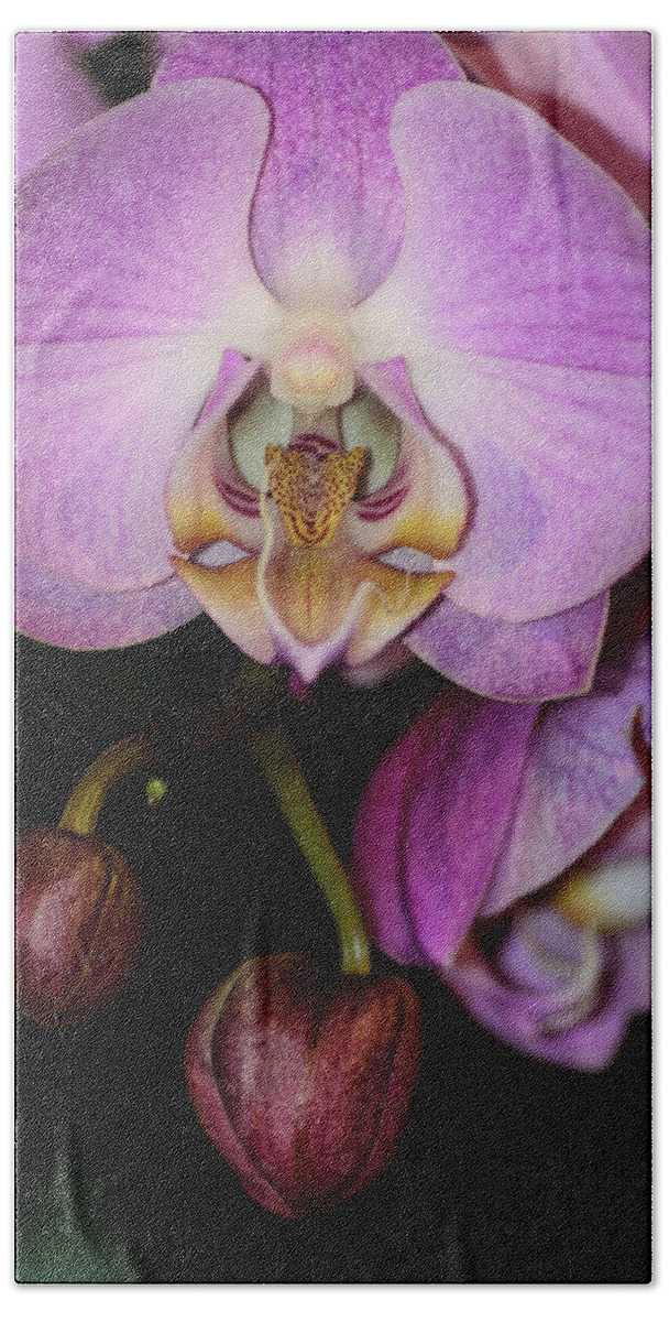 Cleveland Beach Towel featuring the photograph Orchid Life by Stewart Helberg