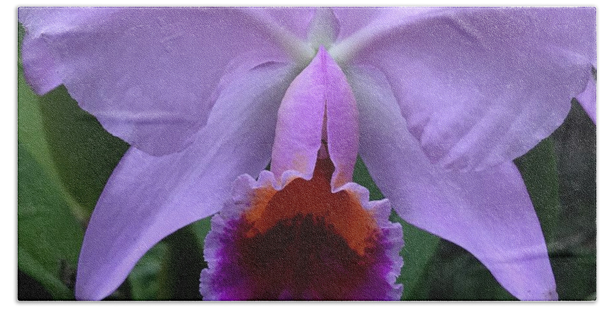 Flowers Beach Towel featuring the photograph Orchid Purple by Jean Wolfrum