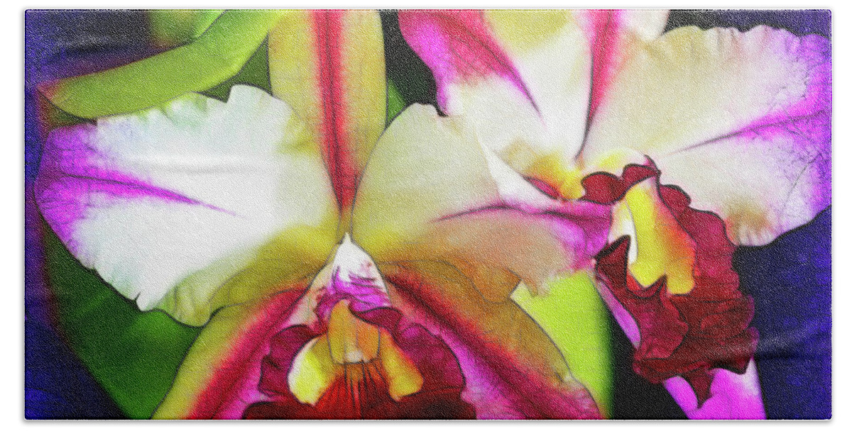 Orchids Beach Towel featuring the photograph Orchids in Color by Judi Bagwell