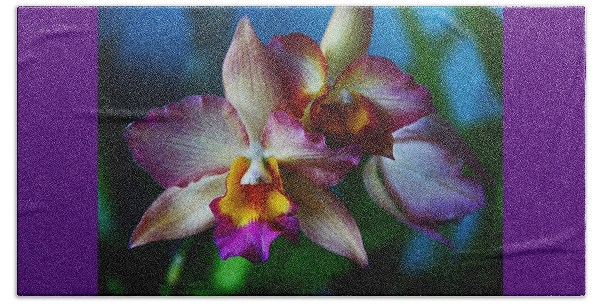 Orchid Beach Towel featuring the photograph Orchids - Trio by Kerri Ligatich