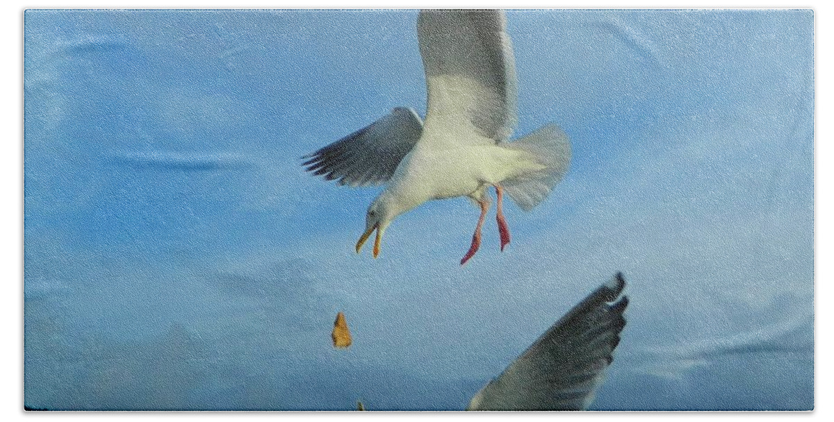 Gulls Beach Towel featuring the photograph Oregon Coast Amazing Seagulls by Gallery Of Hope 