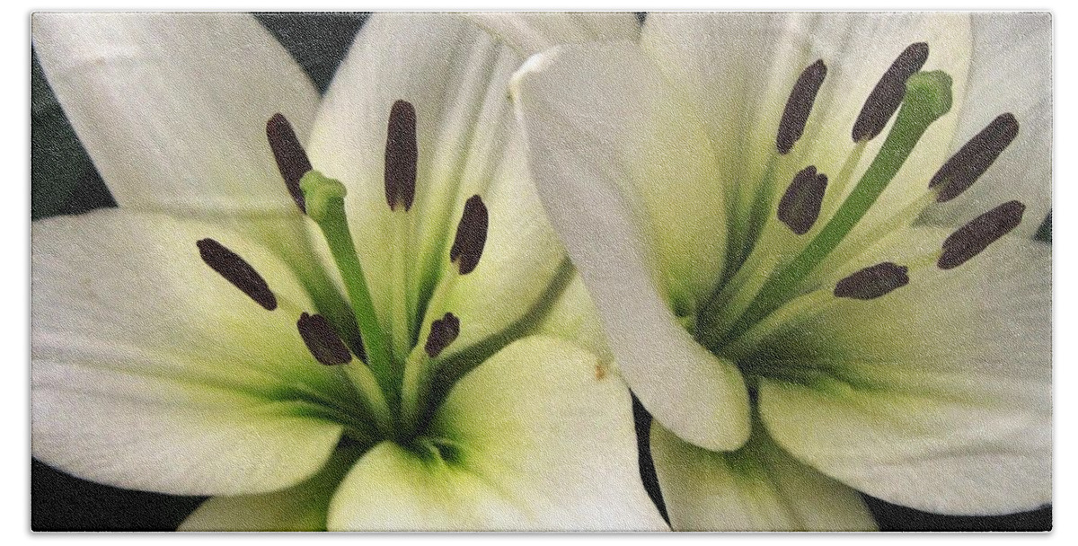 Oriental Lily Beach Sheet featuring the photograph Oriental Lily named Endless Love by J McCombie