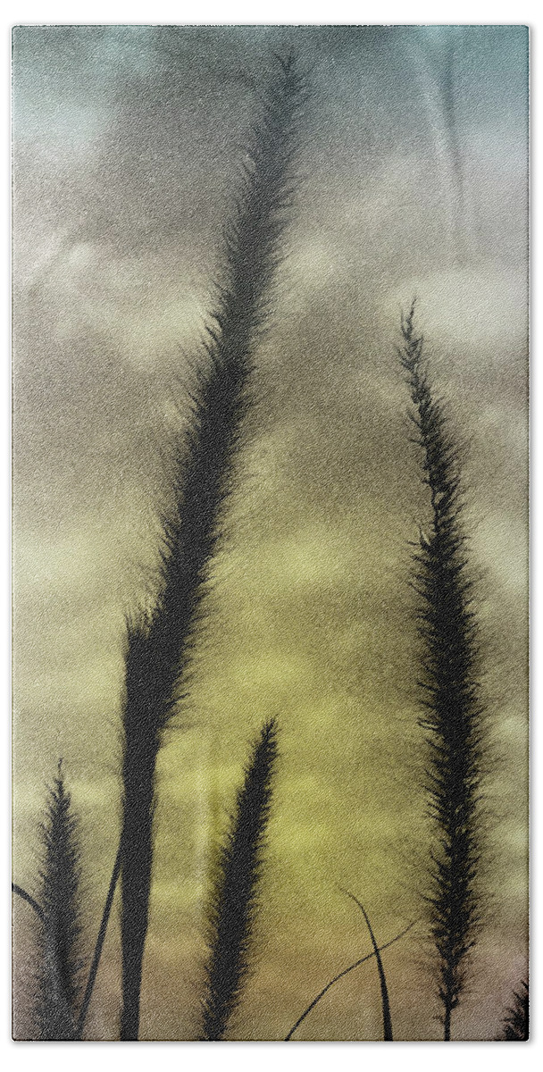 Wheat Beach Towel featuring the photograph Ornamental Grass by Kenneth Krolikowski