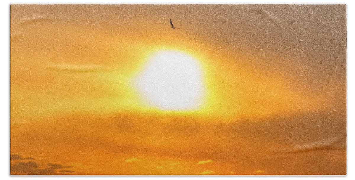 New Jersey Beach Towel featuring the photograph Osprey at sunset by SAURAVphoto Online Store