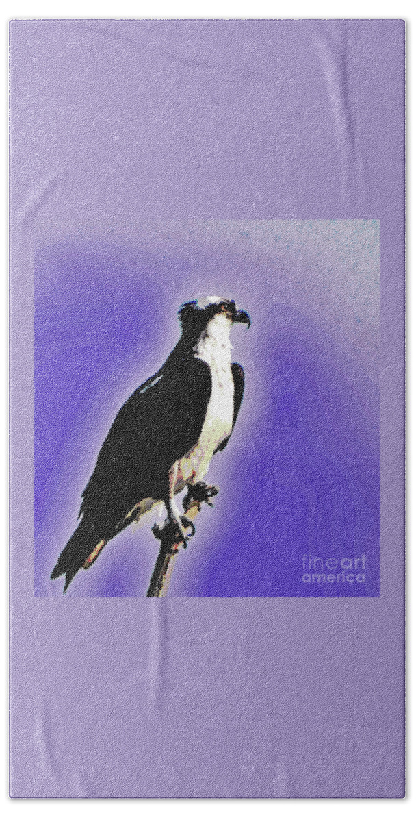 Osprey Lake St Catherine Wells Poultney Vermont Beach Towel featuring the photograph Osprey on a Stick by Karen Velsor