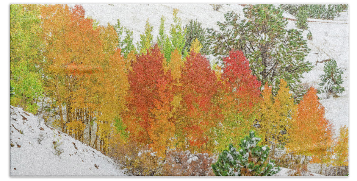 Fall Colors Beach Towel featuring the photograph Our Winter Begins Around Mid October. by Bijan Pirnia