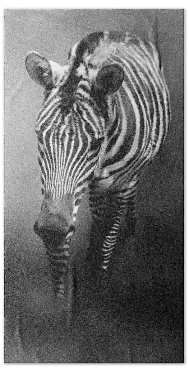 Zebra Beach Sheet featuring the photograph Out of the Mist by Theresa Campbell