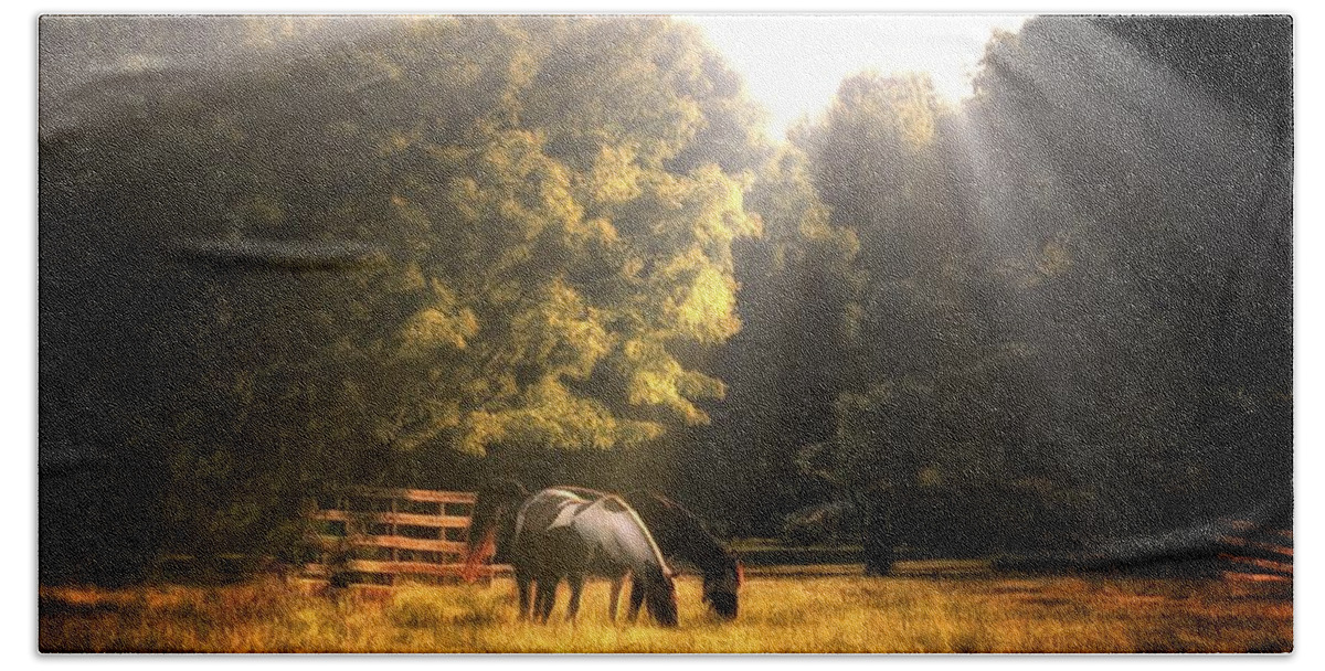 Horse Beach Sheet featuring the photograph Out To Pasture by Mark Fuller