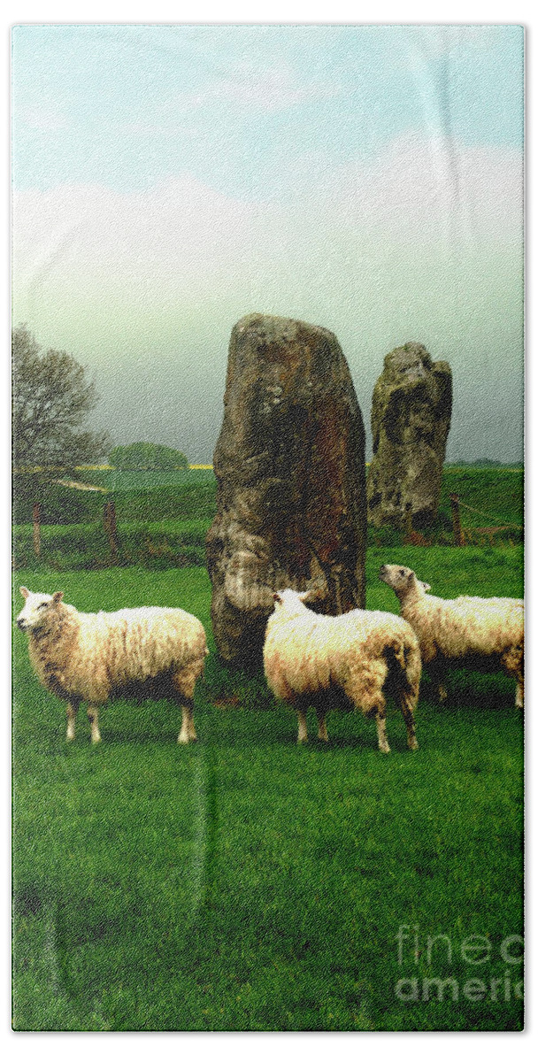 Sheep Beach Towel featuring the photograph Ovine Tourists by Richard Gibb