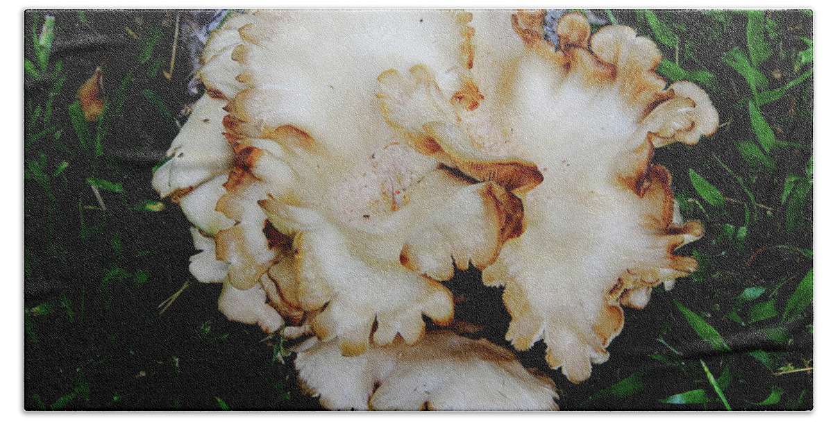  Oyster Mushroom Beach Towel featuring the photograph Oyster Mushroom by Allen Nice-Webb