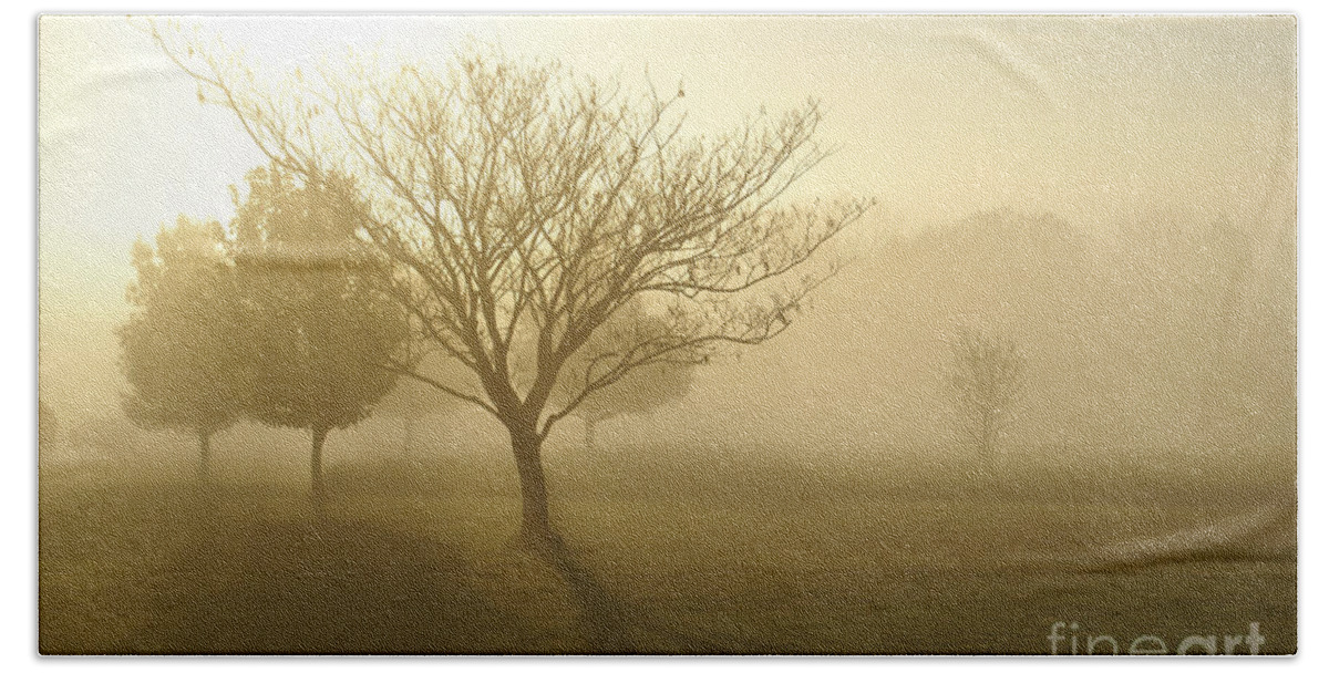Fog Beach Sheet featuring the photograph Ozarks Misty Golden Morning Sunrise by Jennifer White