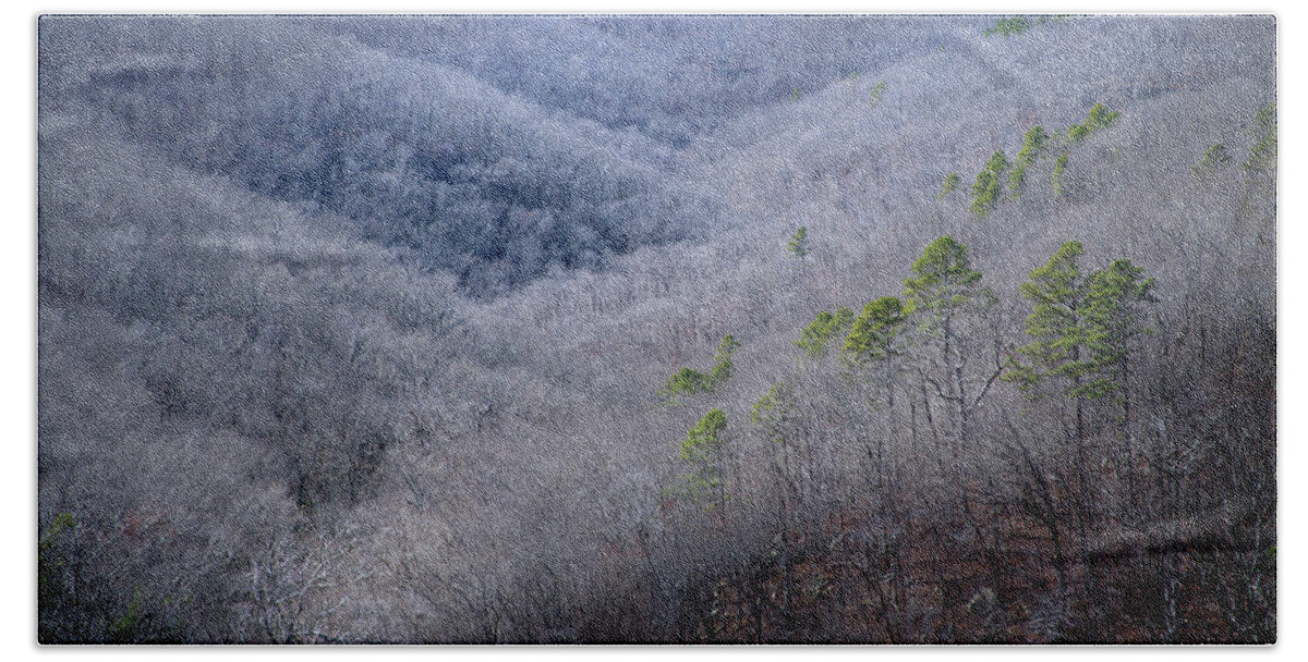 Autumn Beach Sheet featuring the photograph Ozarks Trees #4 by David Chasey