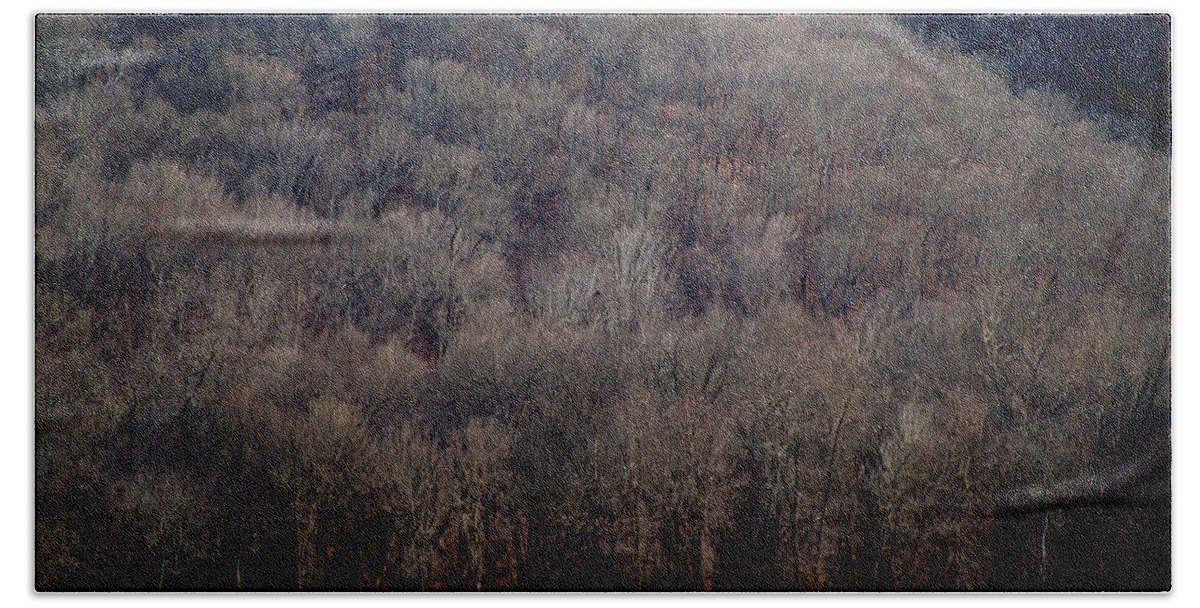 Tree Line Beach Towel featuring the photograph Ozarks Trees by David Chasey