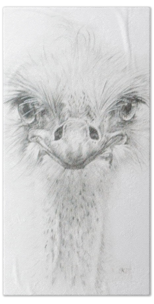 Ostrich Beach Towel featuring the drawing Ozzy by Barbara Keith