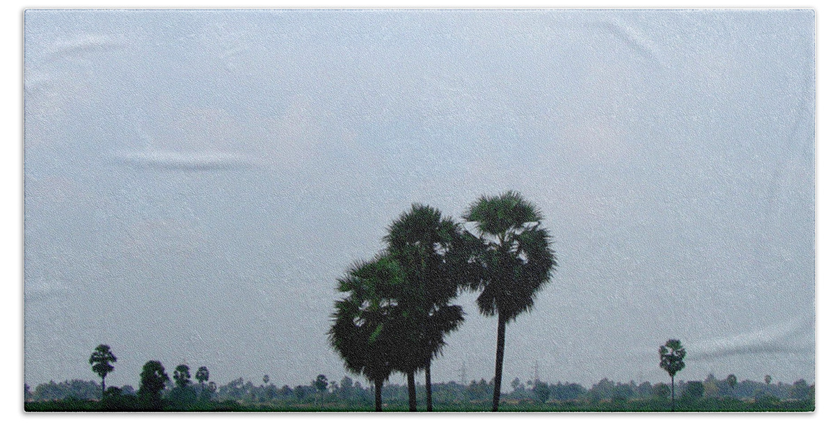 India Beach Towel featuring the photograph Paddy Fields near Anantapur, Andhra Pradesh, India by Iqbal Misentropy