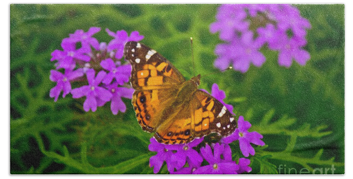Michael Tidwell Photography Beach Towel featuring the photograph Painted Lady on Purple Verbena by Michael Tidwell