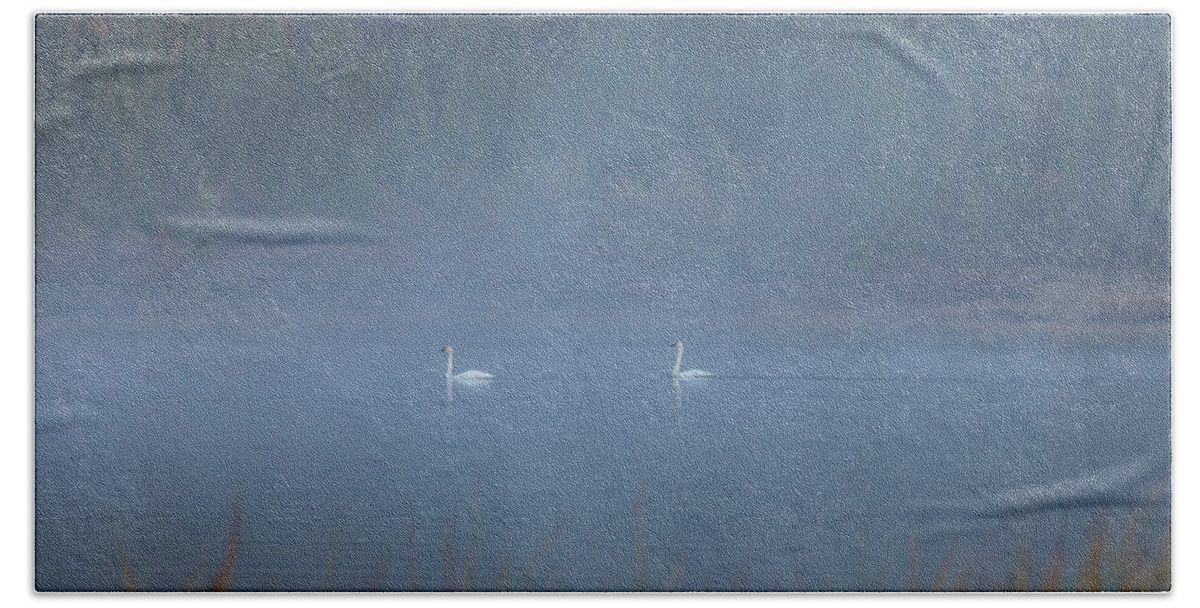 Alaska Beach Towel featuring the photograph Pair of Swans by Scott Slone