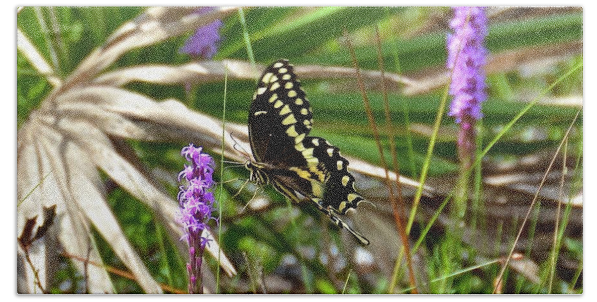 Flower Beach Sheet featuring the photograph Palamedes Swallowtail on Gay Feather by Carol Bradley