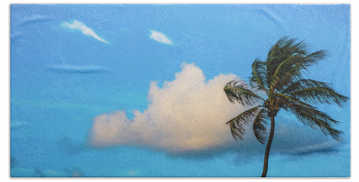 Florida Beach Towel featuring the photograph Palm Cloud Delray Beach Florida by Lawrence S Richardson Jr