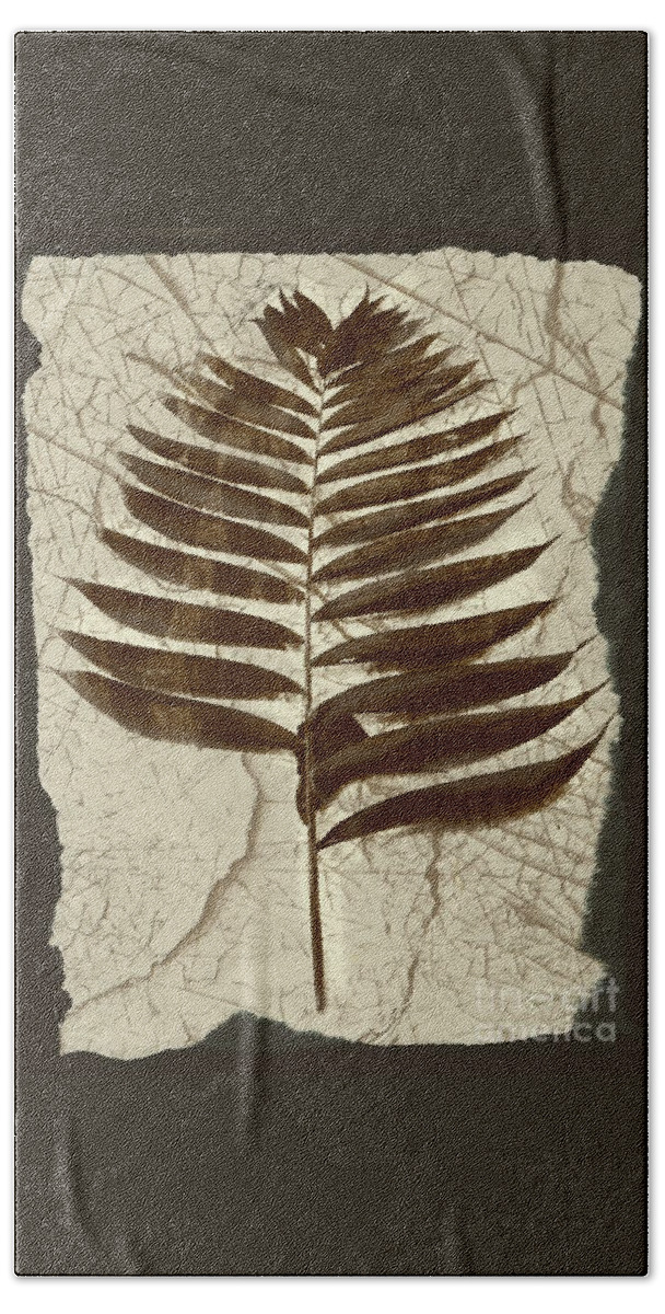Photograph Beach Towel featuring the digital art Palm Fossil Sandstone by Delynn Addams