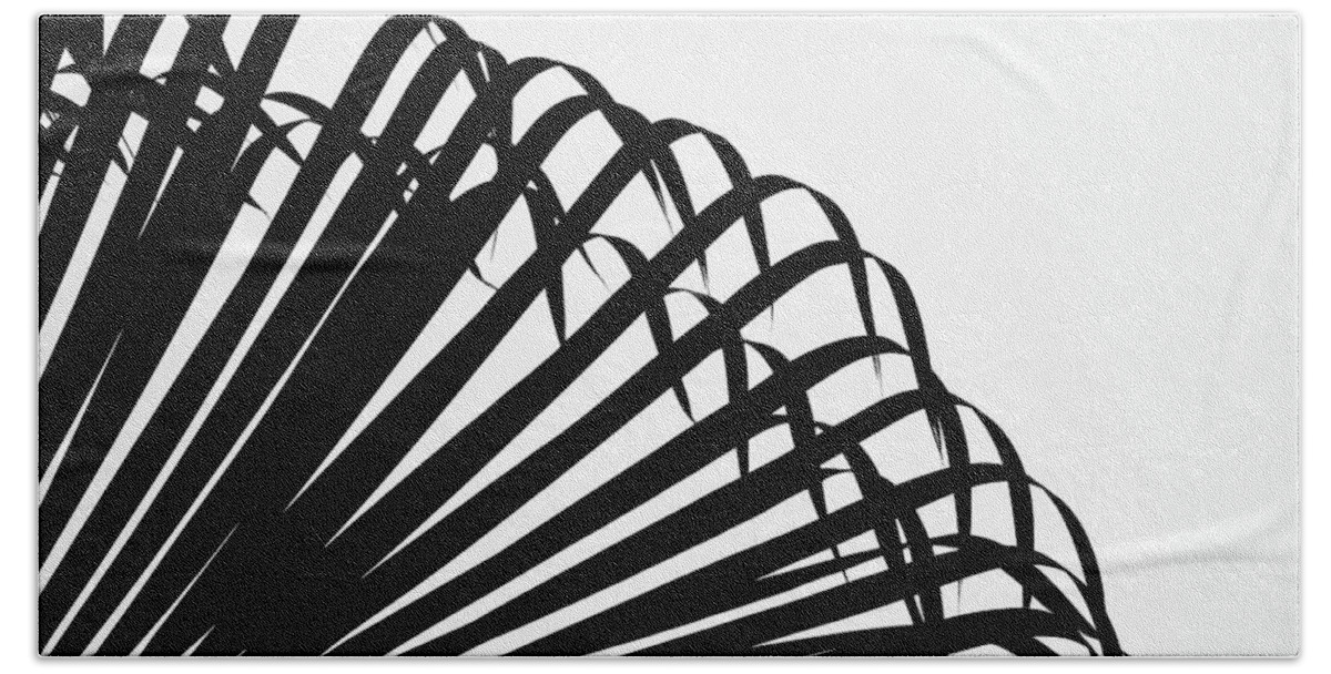 Black And White Beach Towel featuring the photograph Palm Frond Black and White by Christopher Johnson