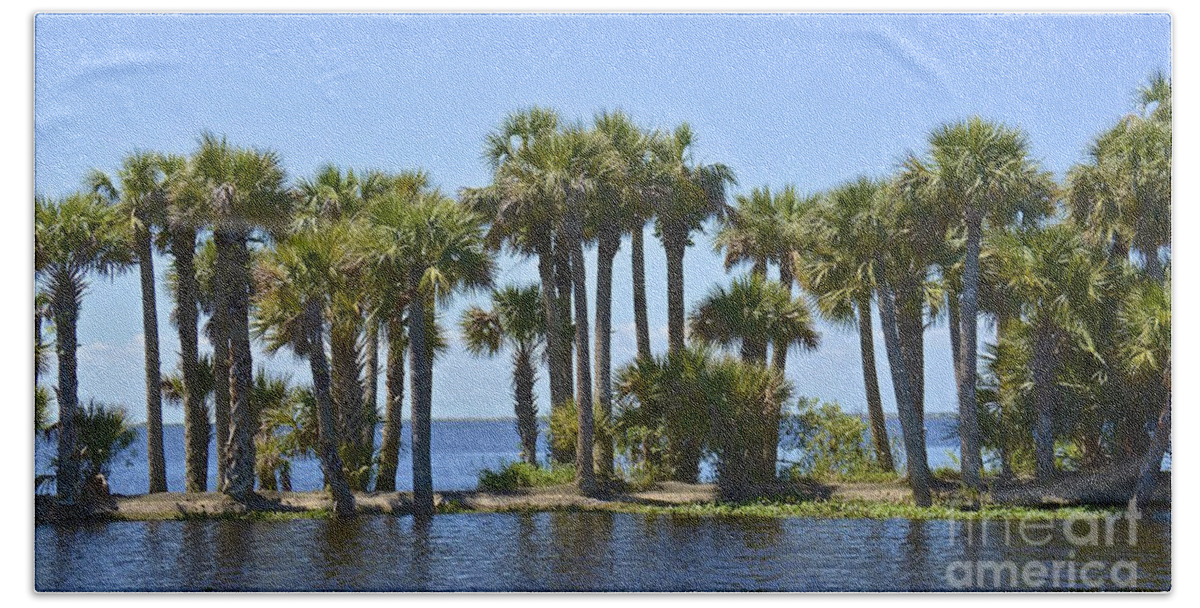 Lake Beach Sheet featuring the photograph Palm Island by Carol Bradley