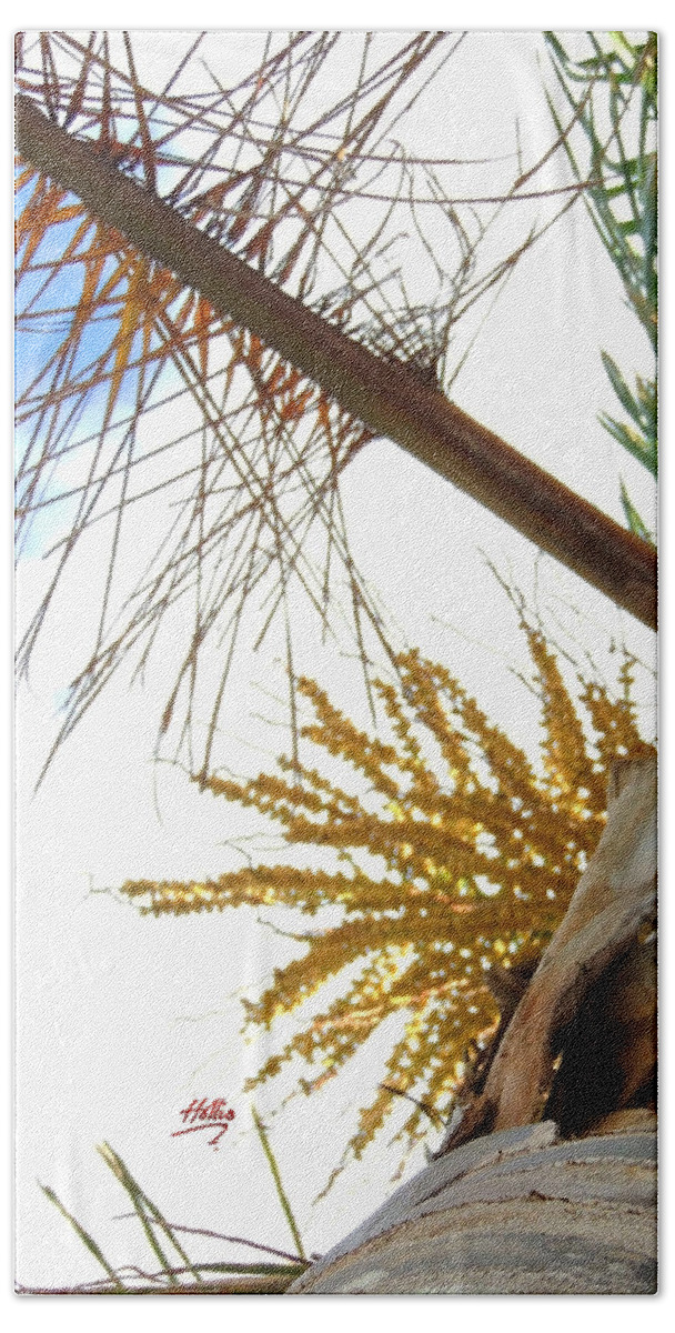 Tree Beach Sheet featuring the photograph Palm sky view by Linda Hollis