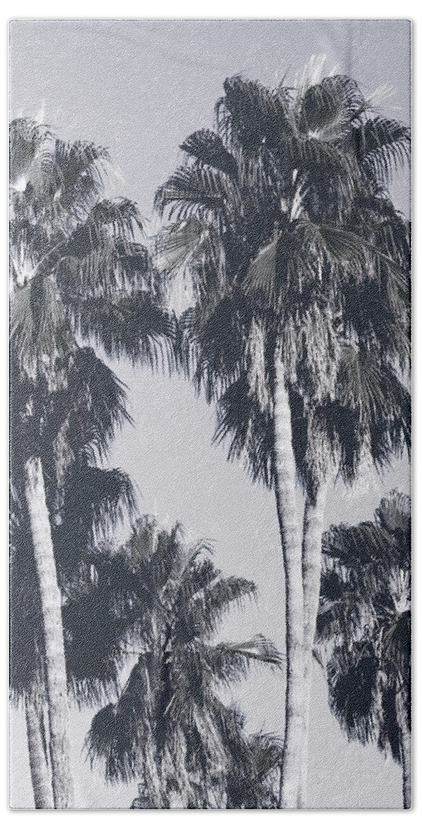 Palm Trees Beach Towel featuring the mixed media Palm Springs Palm Trees- Art by Linda Woods by Linda Woods