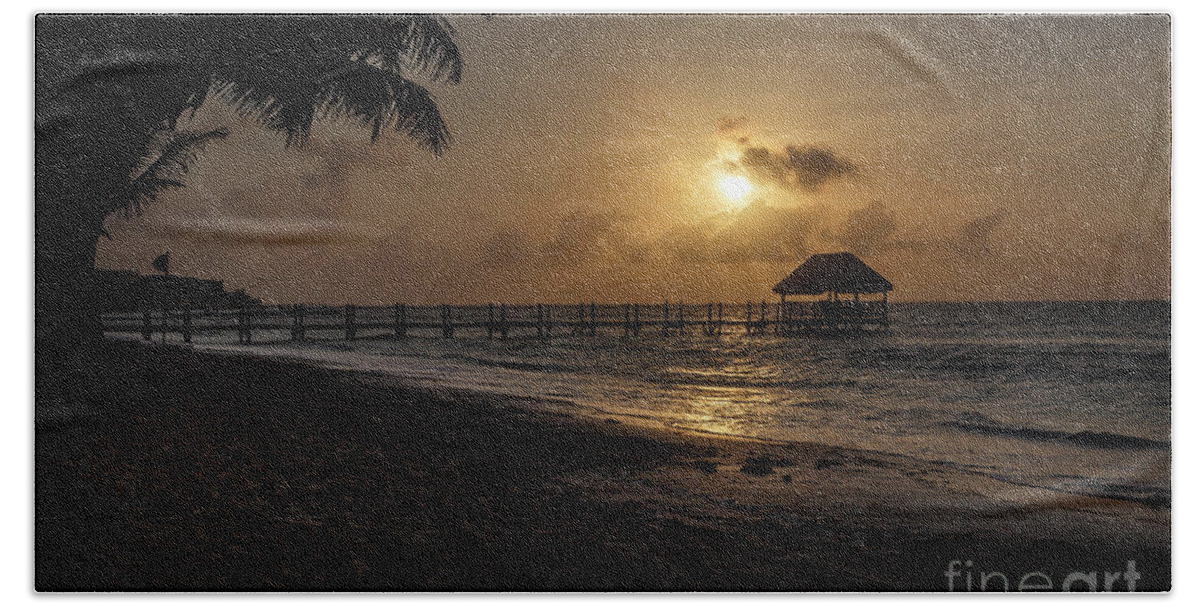 Cancun Beach Towel featuring the photograph Palm Sunrise by Dennis Hedberg