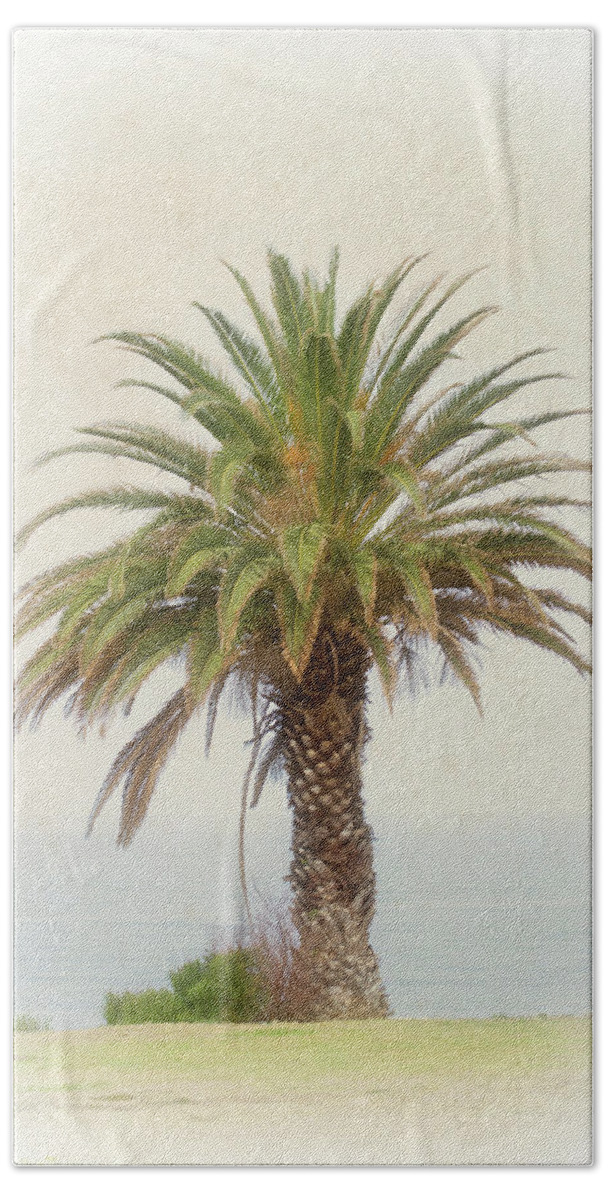 Palm Tree Beach Sheet featuring the photograph Palm Tree in Coastal California in a Retro Style by Anthony Murphy