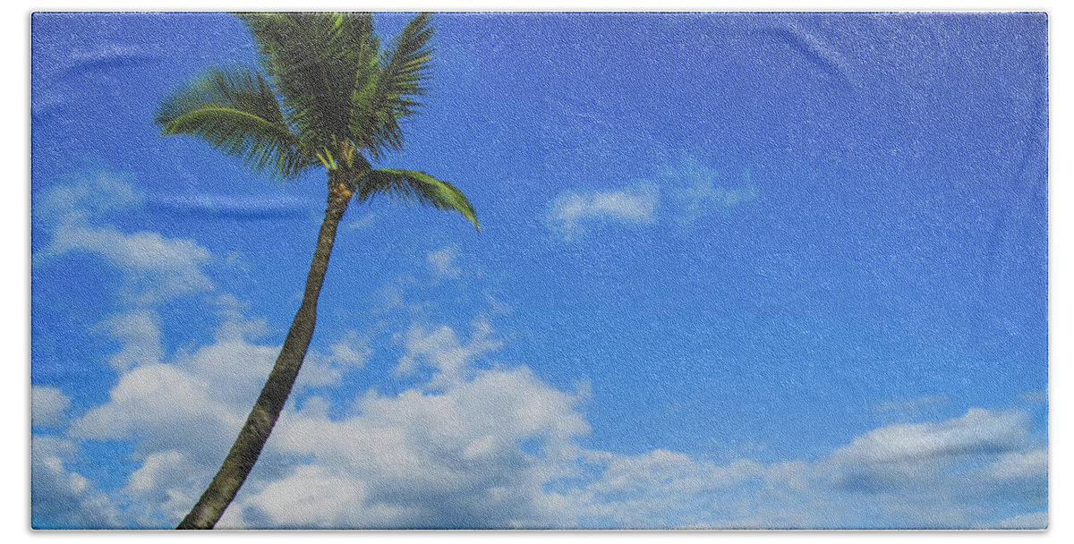 Beach Beach Towel featuring the photograph Palm Tree in Paradise by Andy Konieczny