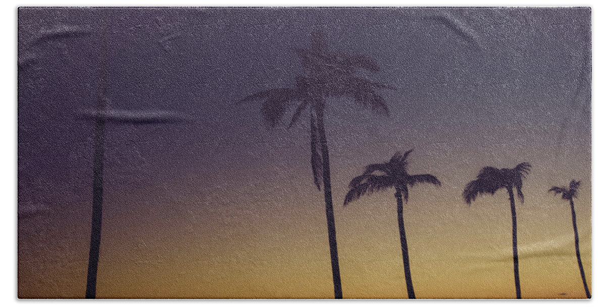 Vacation Beach Towel featuring the photograph Palm Trees in the Morning Light by Anthony Doudt