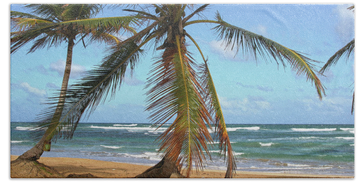 Palms Beach Towel featuring the photograph Palms and Sand by Robert Och