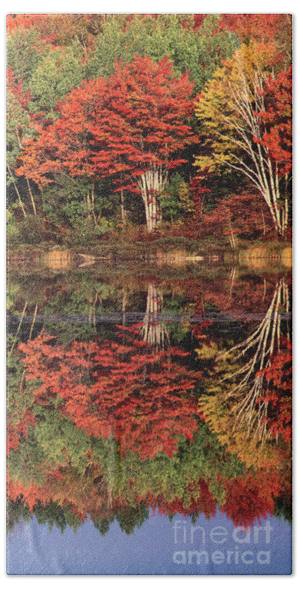 Dave Welling Beach Towel featuring the photograph Panoramic Fall Color Thorton Lake Upper Penninsula Michigan by Dave Welling