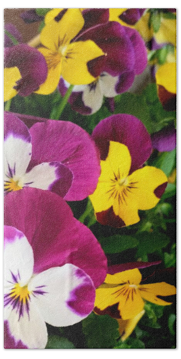 Flowers Beach Towel featuring the photograph Pansies by Valerie Josi